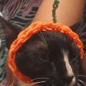 pumpkin cat hats can make for dogs as well :)